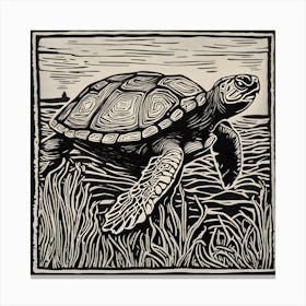 Turtle In The Grass Canvas Print