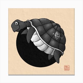 Loving Turtle Canvas Print