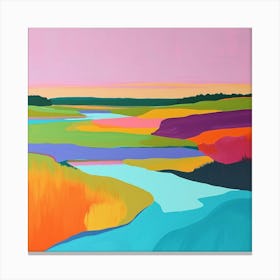 Colourful Abstract Everglades National Park Usa 7 Canvas Print