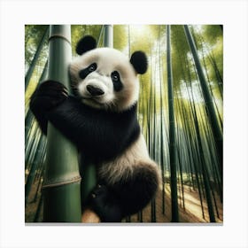 Panda Bear In Bamboo Forest 1 Canvas Print