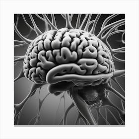 Brain — Stock Photo 1 Canvas Print