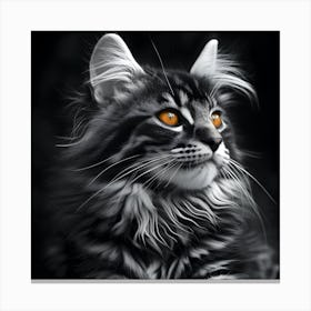 Monochrome Cat With Amber Eyes Canvas Print