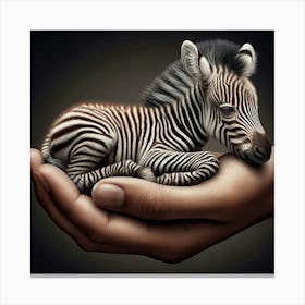 Tiny Cute Zebra in Human Hand Canvas Print