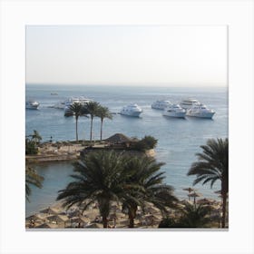 Egypt the sea Canvas Print