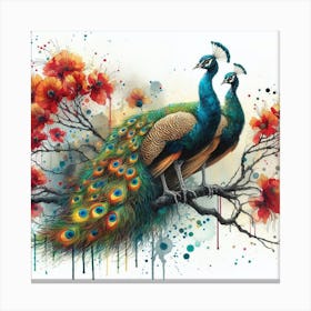 A Pair Of Indian Peafowl Birds Canvas Print