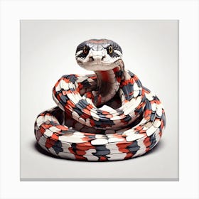 Snake On A White Background Canvas Print