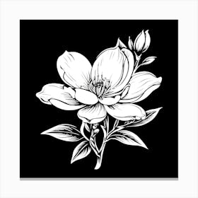 Magnolia Flower Canvas Print