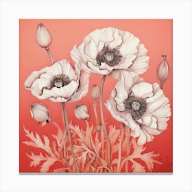 Poppies 20 Canvas Print