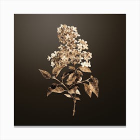 Gold Botanical Chinese Lilac on Chocolate Brown Canvas Print