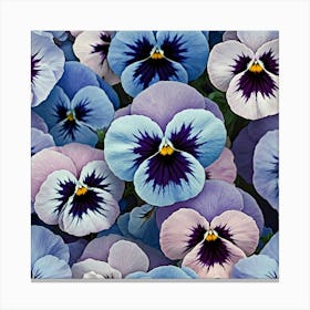 Pansies Canvas Print