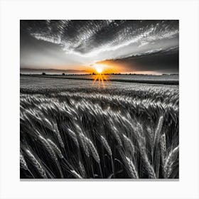 Sunset Over Wheat Field 2 Canvas Print