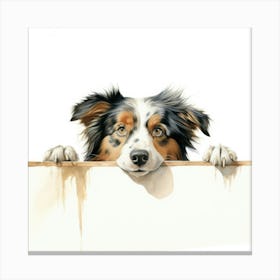 Australian Shepherd 1 Canvas Print