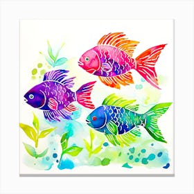 Three Colorful Fish Canvas Print