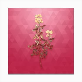 Vintage Common Cytisus Botanical in Gold on Viva Magenta Canvas Print