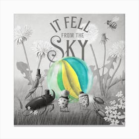 It Fell From The Sky Book Cover Canvas Print