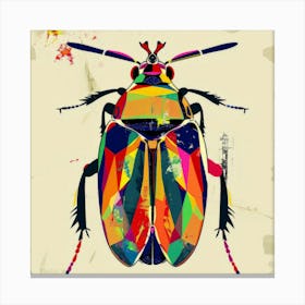 Beetle 19 Canvas Print