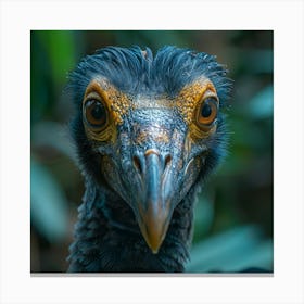 Vulture Canvas Print