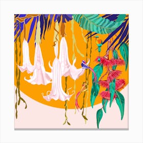 Canopy And Orange Sun Square Canvas Print