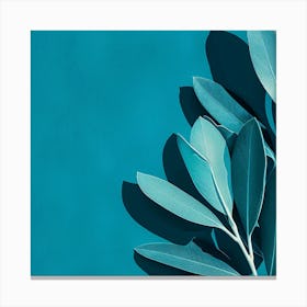 Eucalyptus Leaf 1 Canvas Print