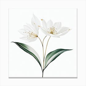 plant minimalist 2 Canvas Print