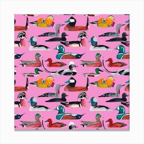 Ducks On Pink Canvas Print