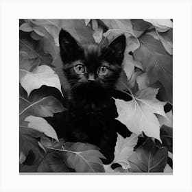 Black and White Black Kitten In Leaves 3 Canvas Print