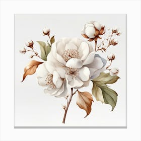 Cotton Flower branch 1 Canvas Print