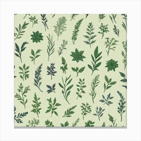 Seamless Pattern Of Herbs 14 Canvas Print