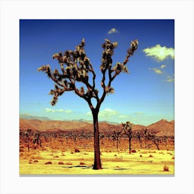 Arbre Joshua Free Canvas Print