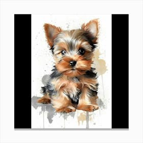 Yorkshire Terrier Canvas Print