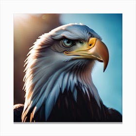 Bald American Eagle Canvas Print