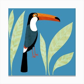 Toucan Canvas Print