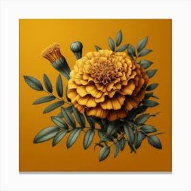 Carnation Canvas Print