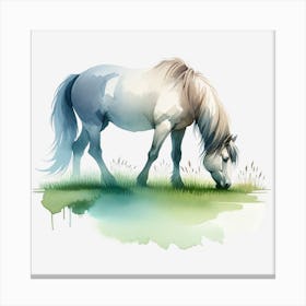 White Horse Grazing Canvas Print