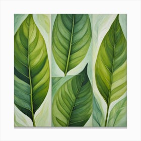 Three Green Leaves Canvas Print