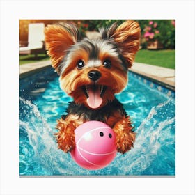 Yorkshire Terrier In The Pool Canvas Print