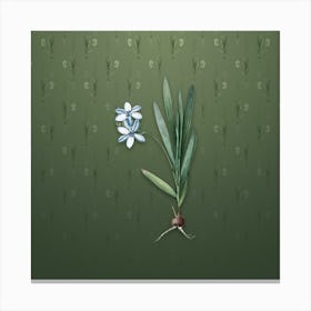 Vintage Gladiolus Plicatus Botanical on Lunar Green Pattern n.2337 Canvas Print
