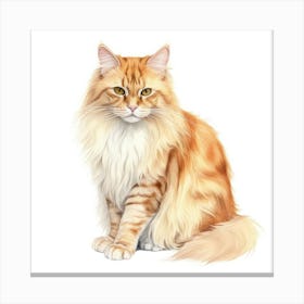 Cymric Longhair Manx Cat Portrait 3 Canvas Print