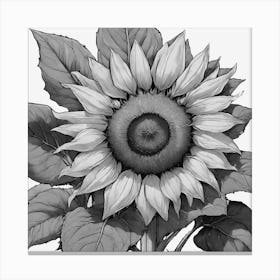 Sunflower 31 Canvas Print