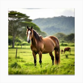 Horse In The Pasture 2 Canvas Print