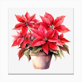 Poinsettia 1 Canvas Print