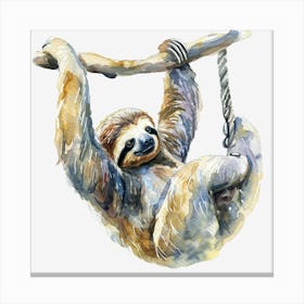 Sloth Hanging On A Branch 1 Canvas Print