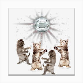 Funny Dancing Cats Disco Ball Kitten Kitty Lover Canvas Print