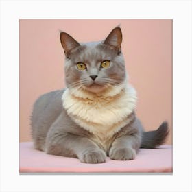 Portrait Of A Grey Cat Canvas Print