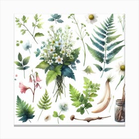 Herbs Canvas Print