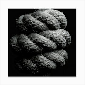 Black And White Image Of A Rope Canvas Print