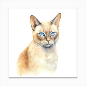 Burmese Platinum Cat Portrait 3 Canvas Print
