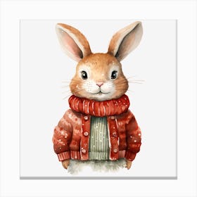 Rabbit In A Sweater 1 Canvas Print
