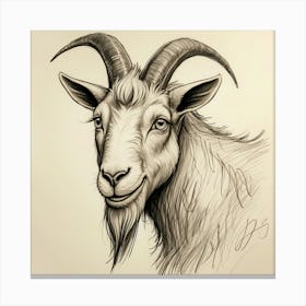 Goat Head 29 Canvas Print