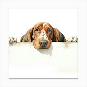 Basset Hound 3 Canvas Print